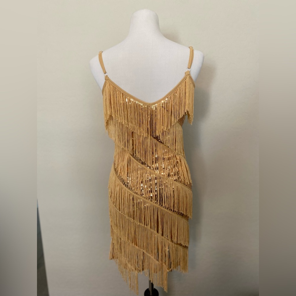❌Amazon Fringe Sequin Dress in Gold❌ - Picture 2 of 3